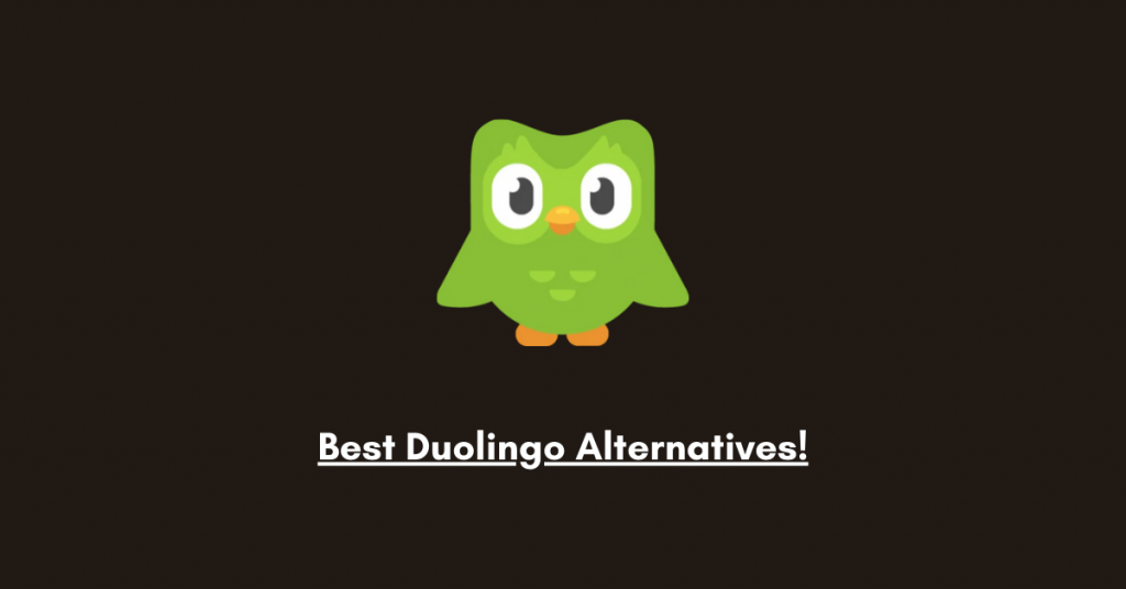 Best Duolingo Alternatives